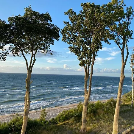 Hevenia The View Ever *