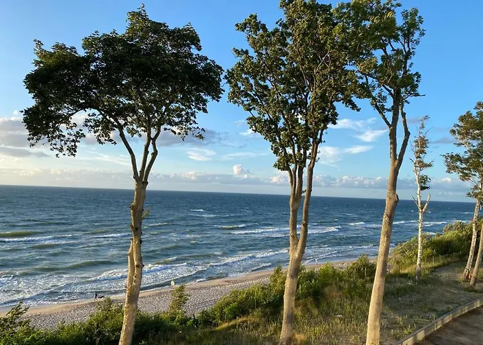 Hevenia The View Ever *